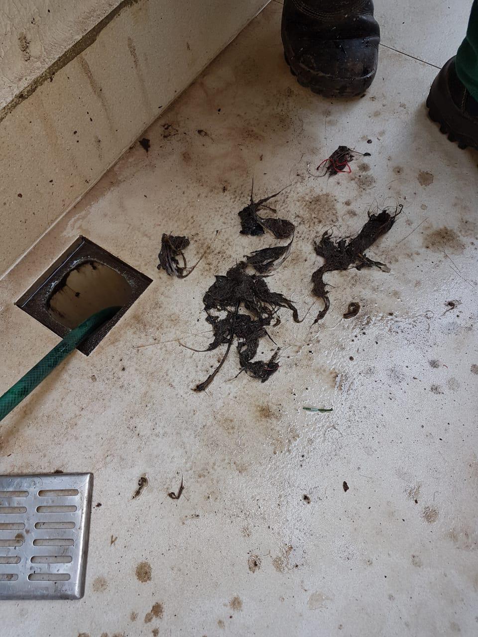 Dsentop Desentupidora